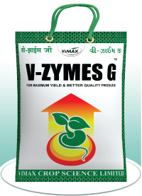 V-ZYMES G