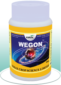 WEGON